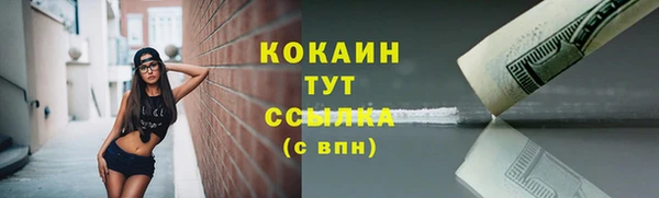 мяу мяу мука Гусев
