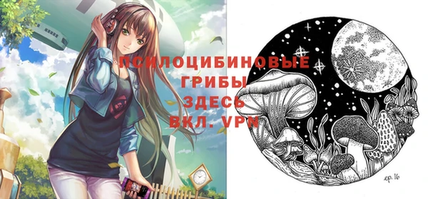 прущий лед Гусь-Хрустальный